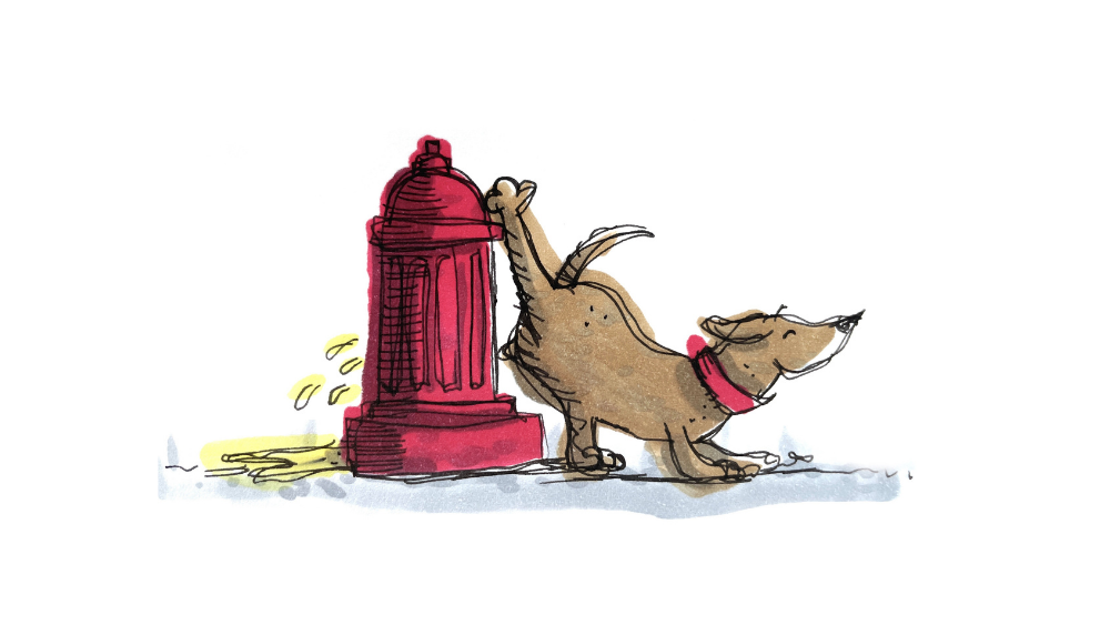 Puppy Potty Training Basics Image